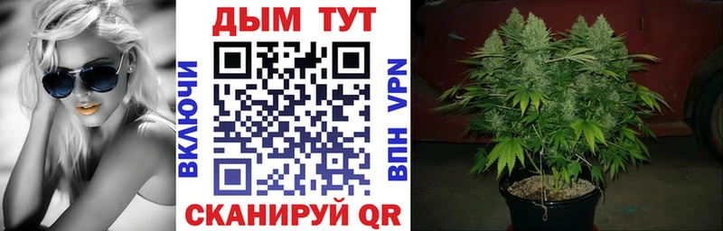 Купить где  Краснокаменск  Марихуана OG Kush 
